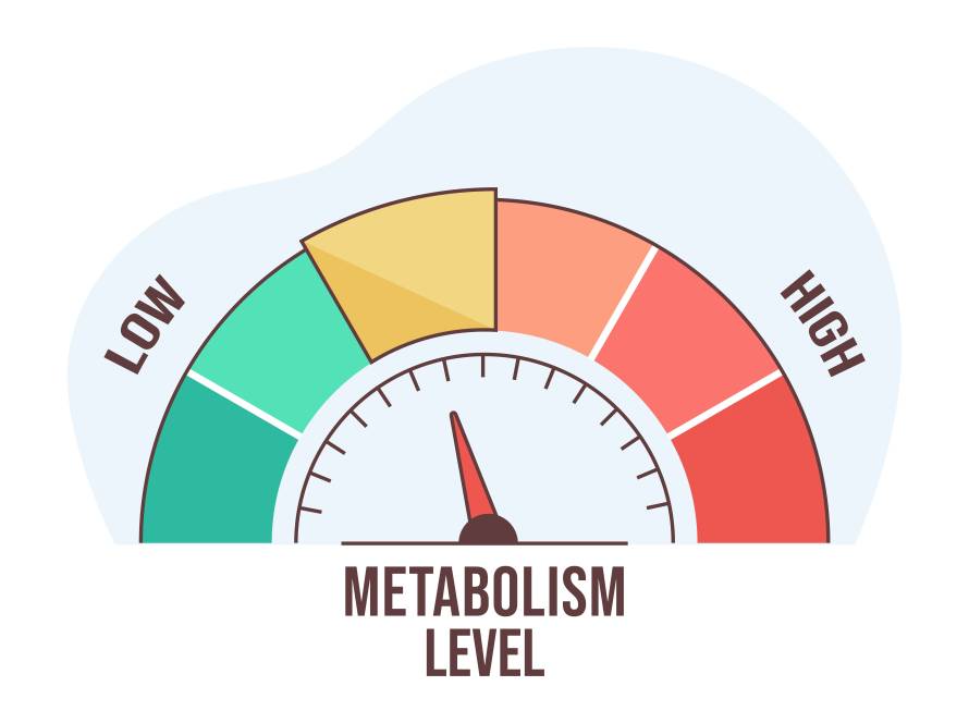 metabolizma hızlandırıcı ilaç